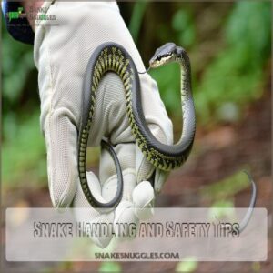 Snake Handling and Safety Tips