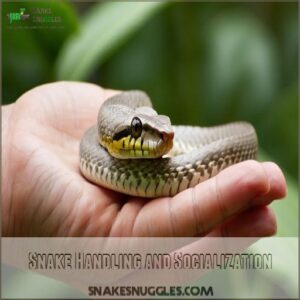 Snake Handling and Socialization