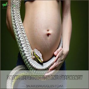 Snake Reproduction and Pregnancy