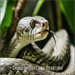 Snake Species and Digestion