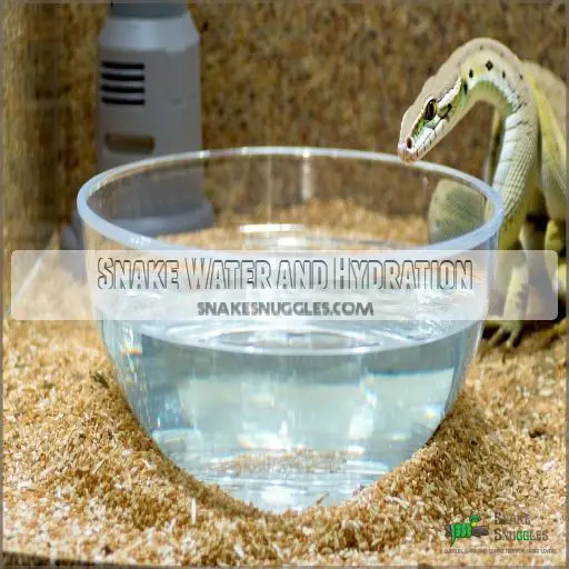 Image showcasing Snake Cage Accessories Checklist: Must-Haves for Your Pet's Home