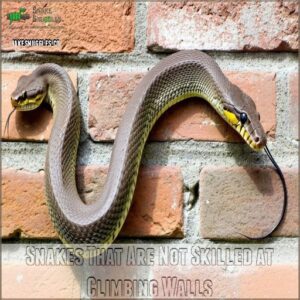 Snakes That Are Not Skilled at Climbing Walls