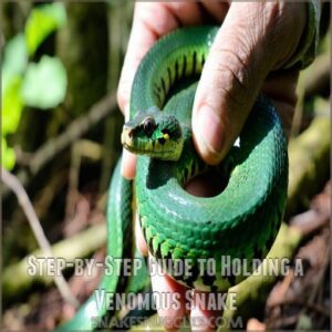 Step-by-Step Guide to Holding a Venomous Snake