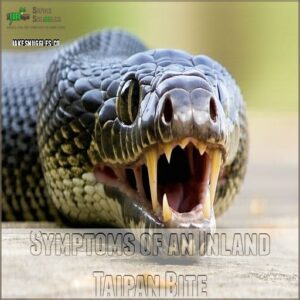 Symptoms of an Inland Taipan Bite