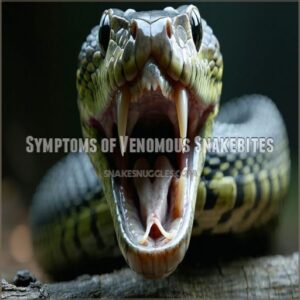 Symptoms of Venomous Snakebites