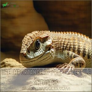 The Importance of Proper Reptile Shedding