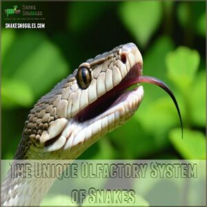 The Unique Olfactory System of Snakes