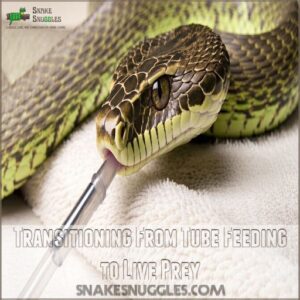 Transitioning From Tube Feeding to Live Prey