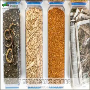 Types of Snake Bedding