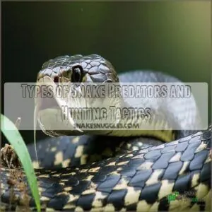 Types of Snake Predators and Hunting Tactics Types of Snake Predators and Hunting Tactics