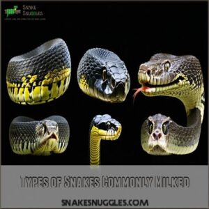 Types of Snakes Commonly Milked