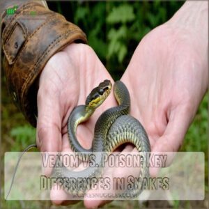 Venom Vs. Poison: Key Differences in Snakes