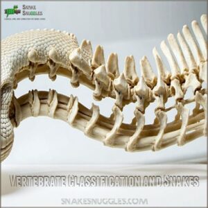 Vertebrate Classification and Snakes