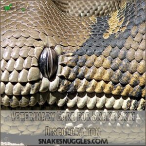 Veterinary Care for Snake Skin Discoloration