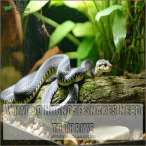 What Do Hognose Snakes Need to Thrive