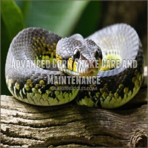 Advanced Corn Snake Care and Maintenance