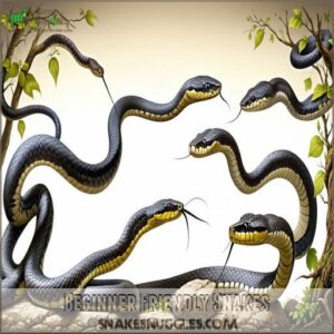 Beginner Friendly Snakes