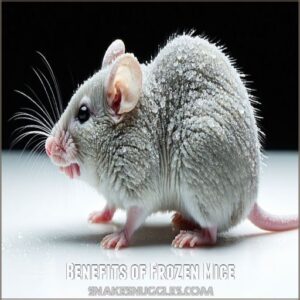 Benefits of Frozen Mice