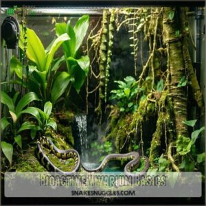 Bioactive Vivarium Basics