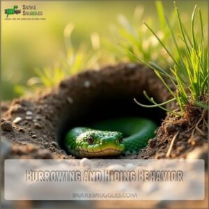 Burrowing and Hiding Behavior