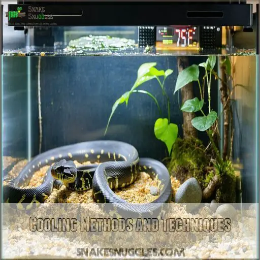Picture of Best Temperature for Boa Constrictors: Expert Habitat Guide