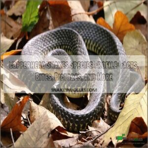 copperhead snakes species profile with bite information facts and pictures