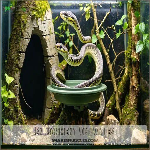 Picture of Snake Stress Reduction: Expert Secrets to Calm Your Serpent Companion