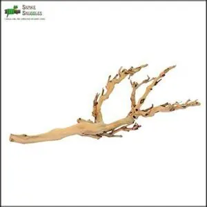 Exo Terra Forest Branch, Medium B0032GAL4Y