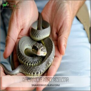 Handling Sick Snakes