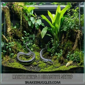 Maintaining a Bioactive Setup