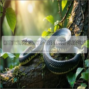 Motionless Snakes Are Likely Sleeping