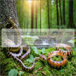 non venomous snake breeds