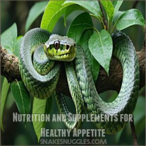 Nutrition and Supplements for Healthy Appetite