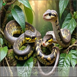 Popular Pet Snake Breeds