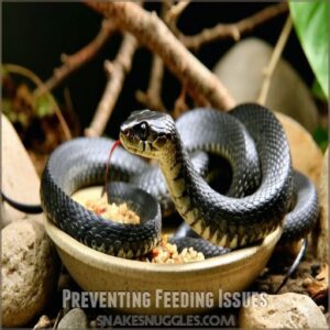 Preventing Feeding Issues