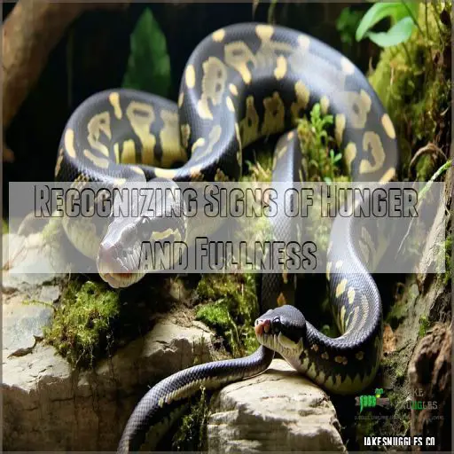 Image showcasing Snake Care Basics: Top Tips to Keep Your Pet Happy & Healthy in 2024