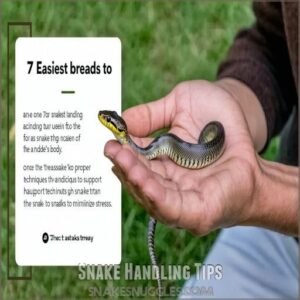 Snake Handling Tips