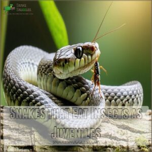 Snakes That Eat Insects as Juveniles