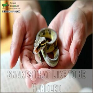 Snakes That Like to Be Handled