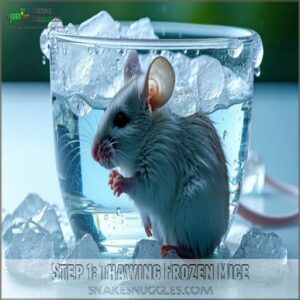 Step 1: Thawing Frozen Mice