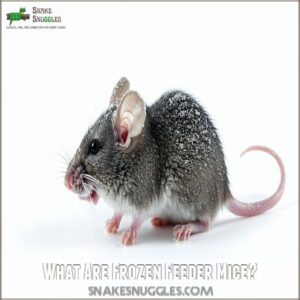 What Are Frozen Feeder Mice