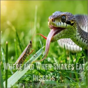 Where and When Snakes Eat Insects