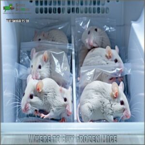 Where to Buy Frozen Mice