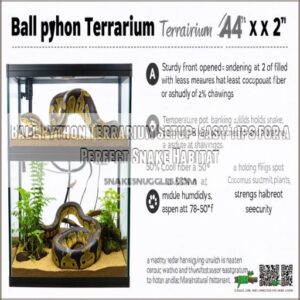 ball python terrarium setup