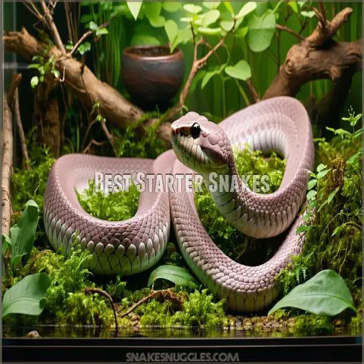 20 Smallest Pet Snakes That Stay Small: Beginner Snake Breed Guide