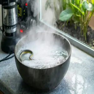 Boiling Water Technique