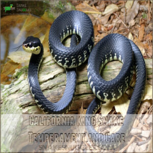 California King Snake Temperament and Care