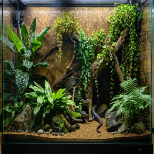 Choosing Snake-Safe Plants and Decorations