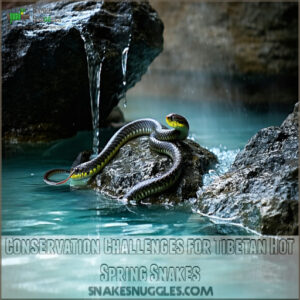 Conservation Challenges for Tibetan Hot Spring Snakes