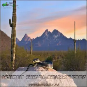 Conservation Efforts for American Rattlesnakes Conservation Efforts for American Rattlesnakes